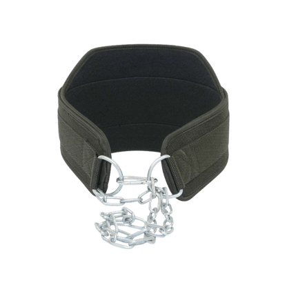 Dip Belt (2)